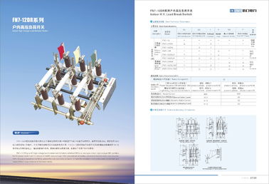 Indoor High Voltage Fused Load Break Switch  12KV 50 HZ FN5-12 Series